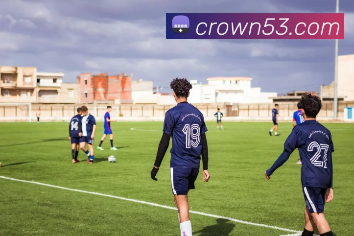 皇冠crown体育平台平台生态图